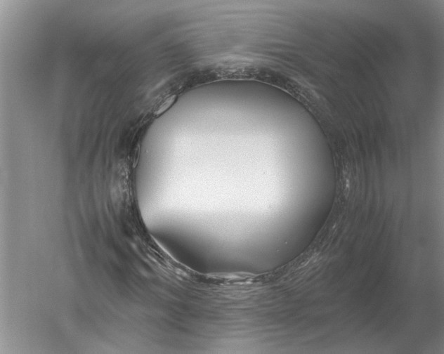 X0000052560964200507152222