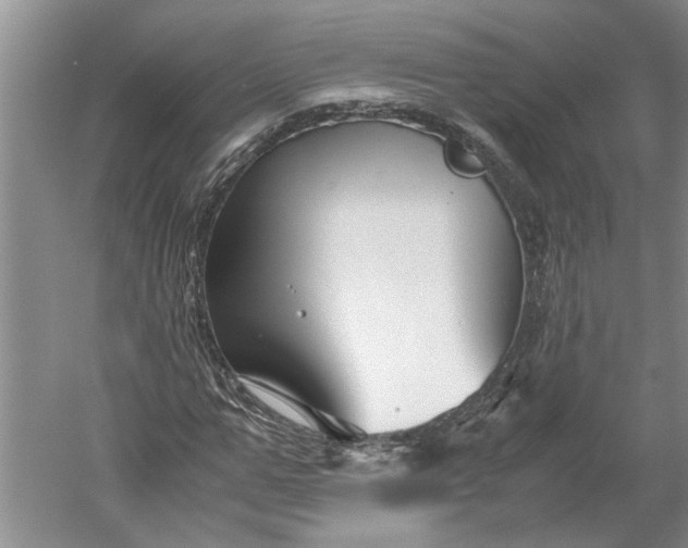 X0000052560967200507152222