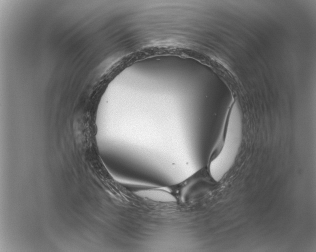 X0000052560968200507152222