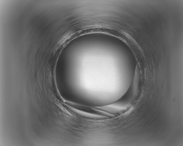 X0000052560969200507152222