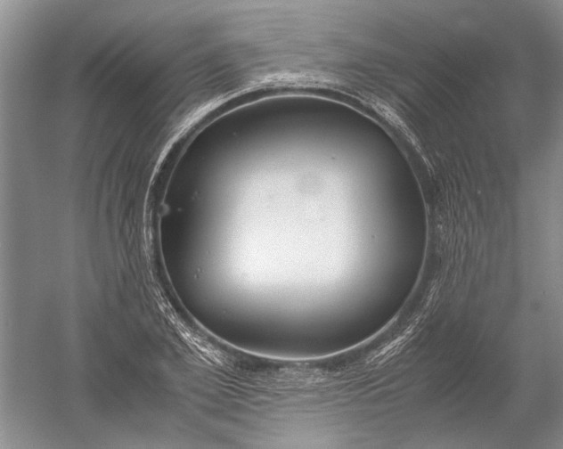 X0000052560981200507152221