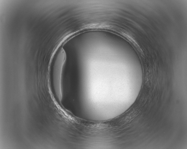 X0000052560992200507152221