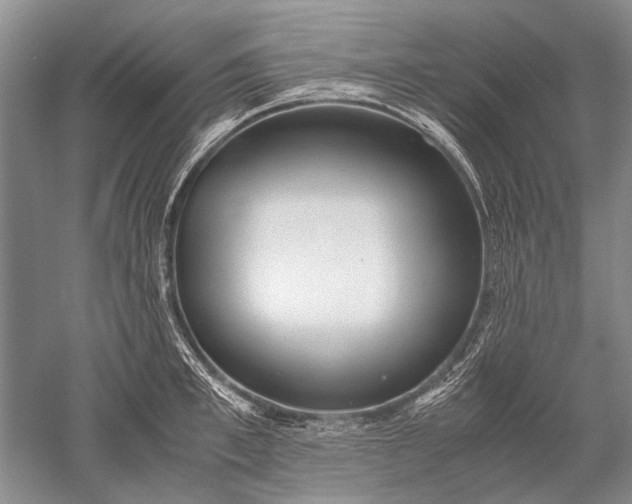X0000052560997200507152221
