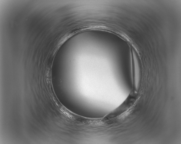 X0000052561001200507152221