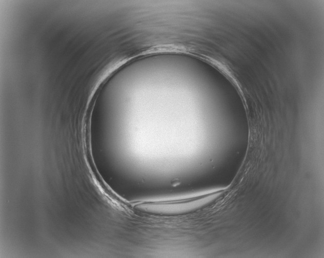 X0000052561003200507152221