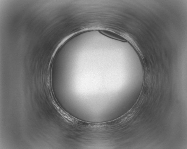 X0000052561004200507152221