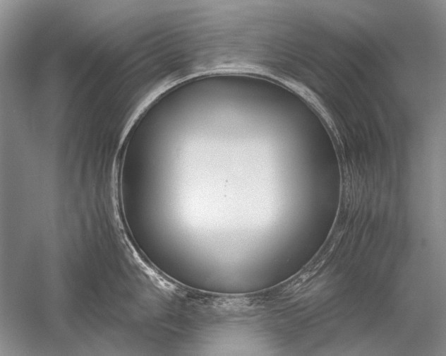 X0000052561006200507152221