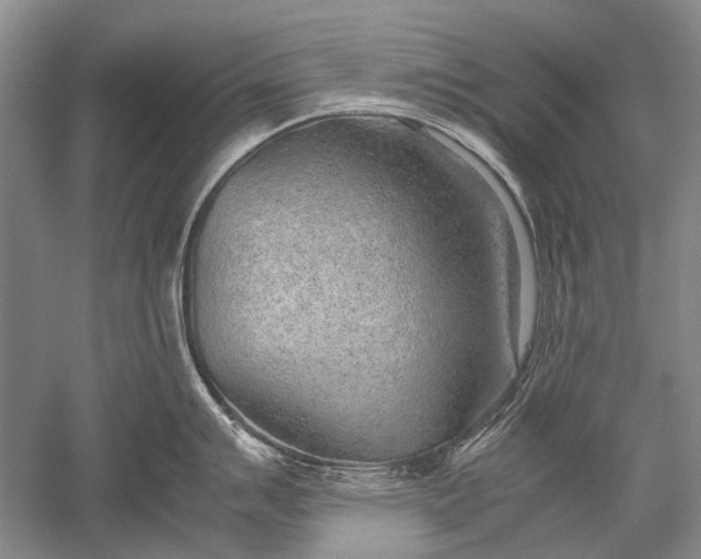 X0000052561007200507152221