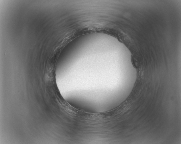 X0000052561012200507152220