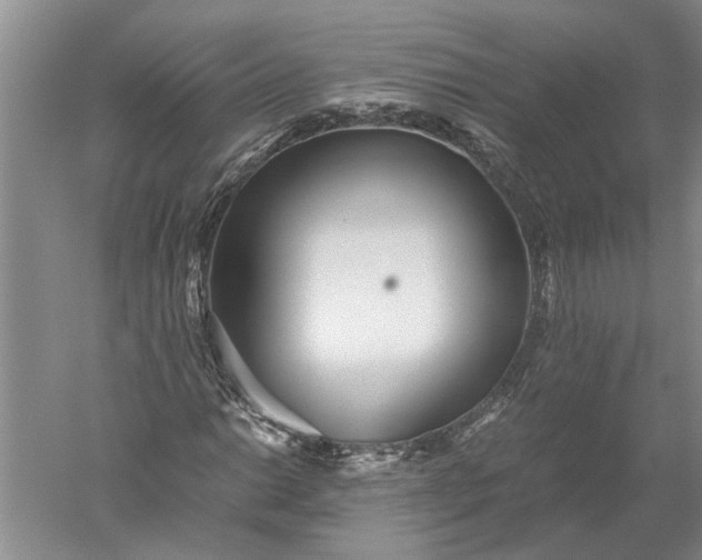 X0000052561014200507152220