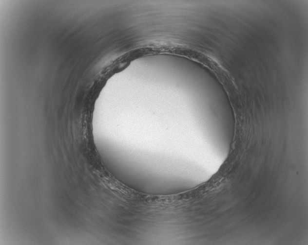 X0000052561016200507152220