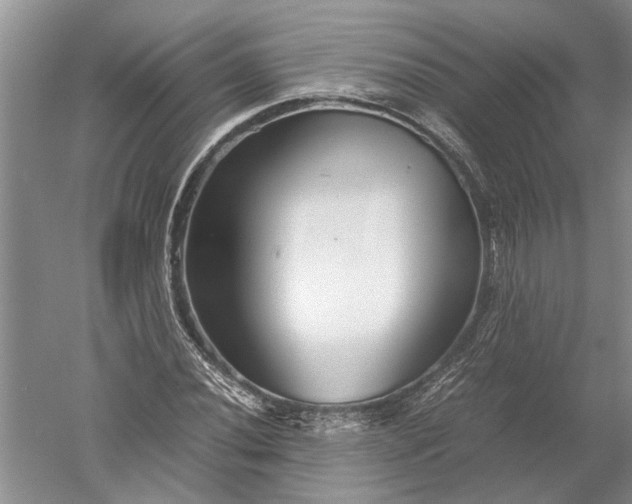 X0000052561020200507152220