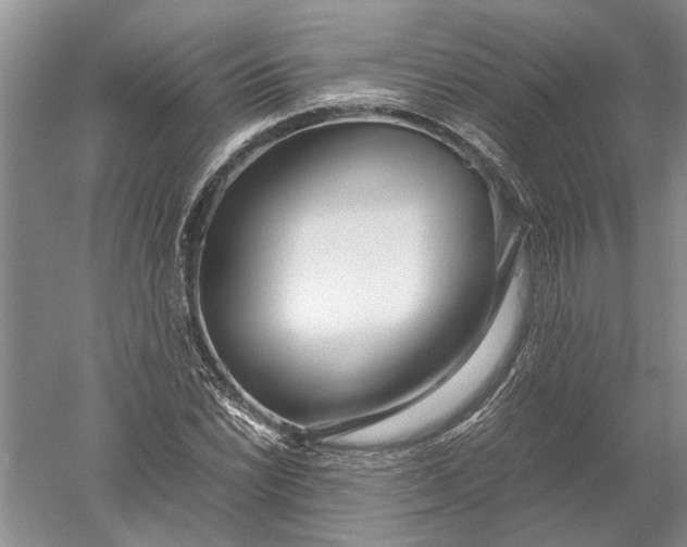 X0000052561022200507152220