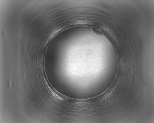 X0000052561033200507152220