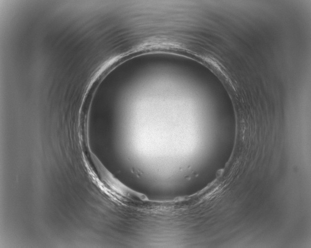 X0000052561038200507152221