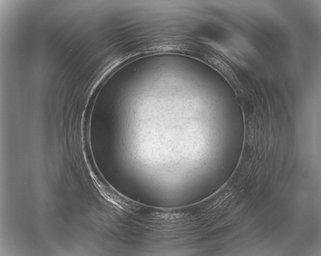 X0000052561039200507152221