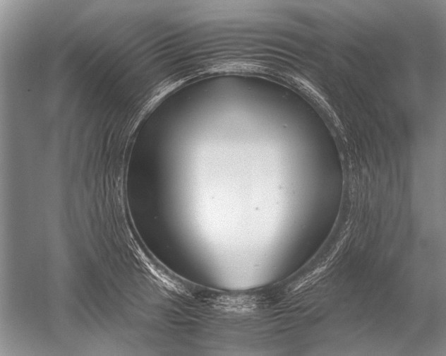 X0000052561041200507152221