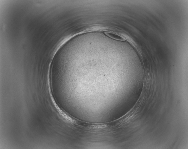 X0000052561055200507152221