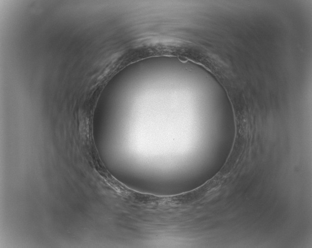 X0000052561061200507152220