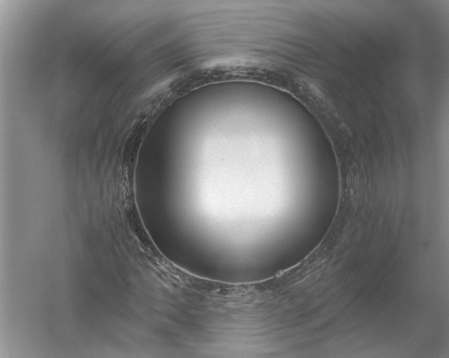 X0000052561062200507152220