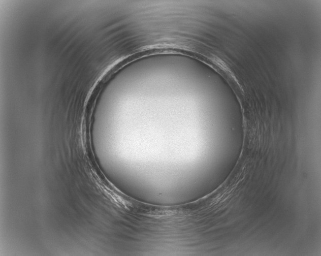X0000052561076200507152220