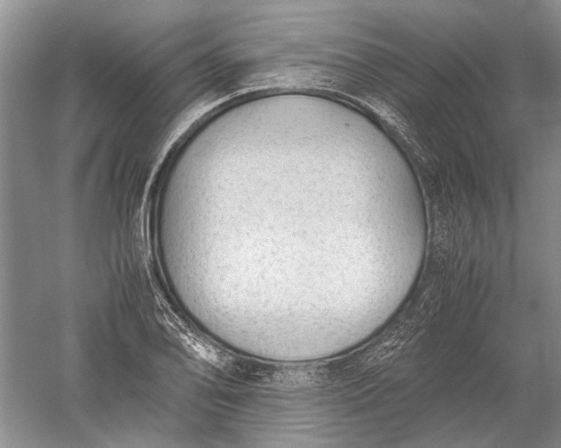 X0000052561078200507152220
