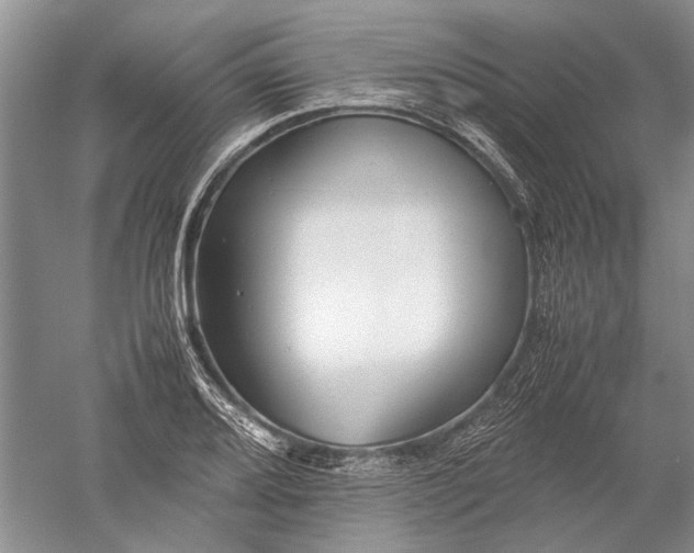 X0000052561080200507152220