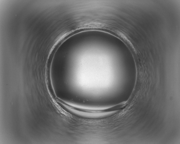 X0000052561085200507152220
