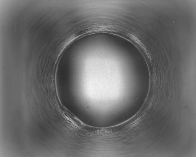 X0000052561089200507152219