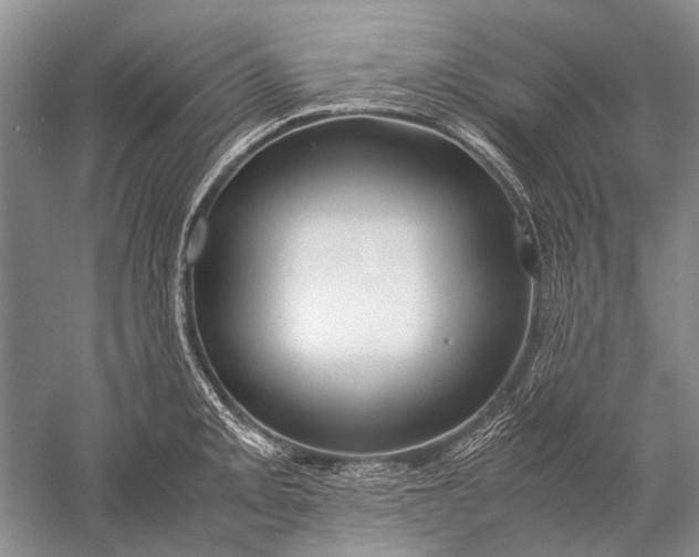 X0000052561093200507152219