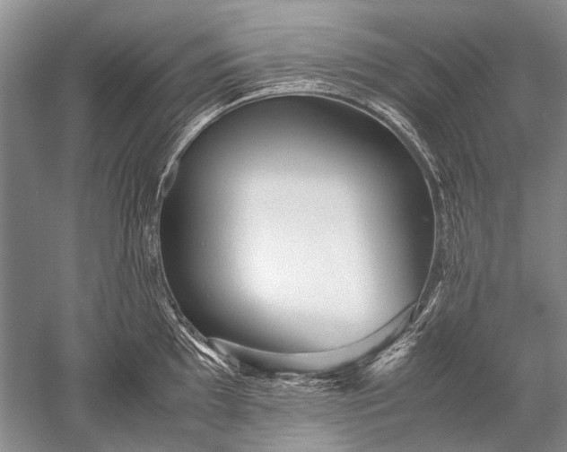 X0000052561097200507152219