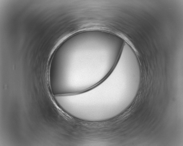 X0000052561101200507152219