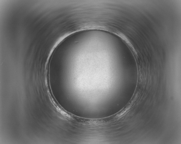 X0000052561102200507152219