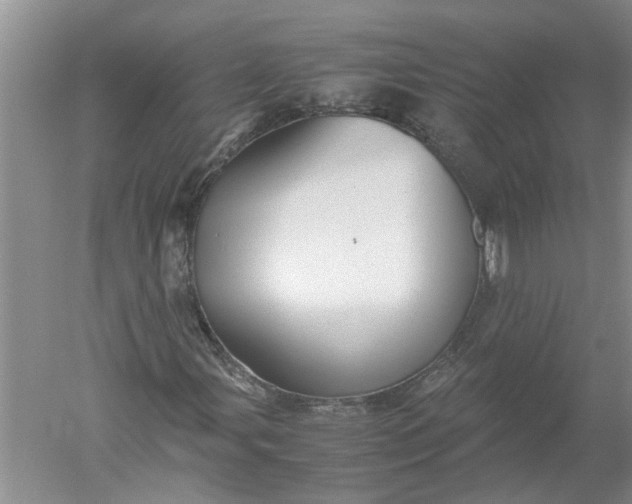 X0000052561107200507152218