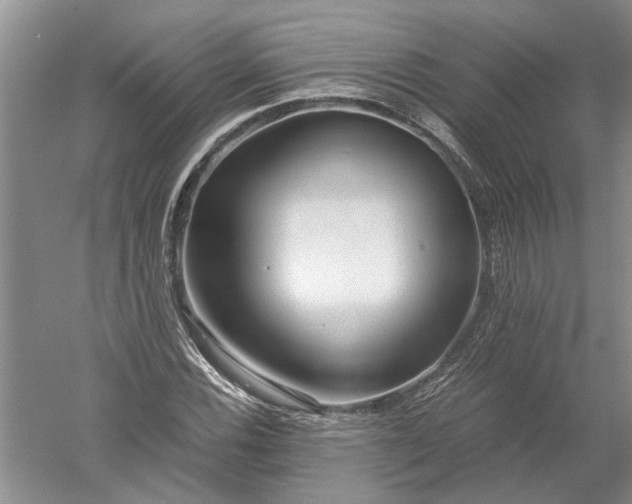 X0000052561116200507152219