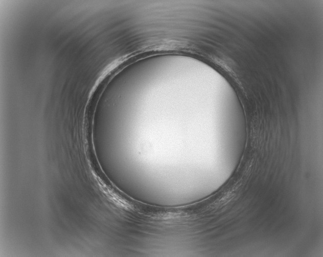 X0000052561122200507152219