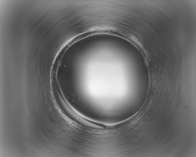 X0000052561124200507152219