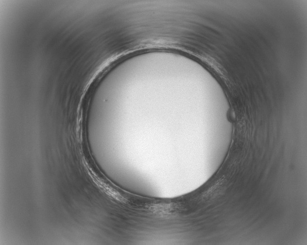 X0000052561126200507152219