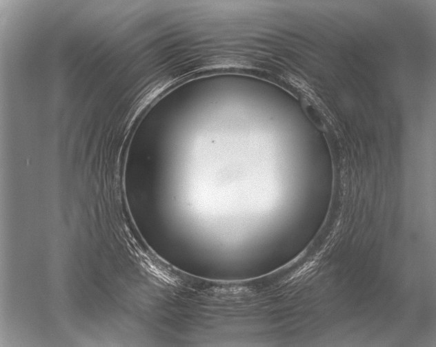 X0000052561129200507152219