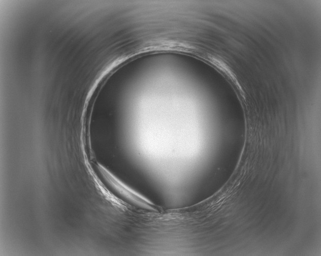 X0000052561136200507152219