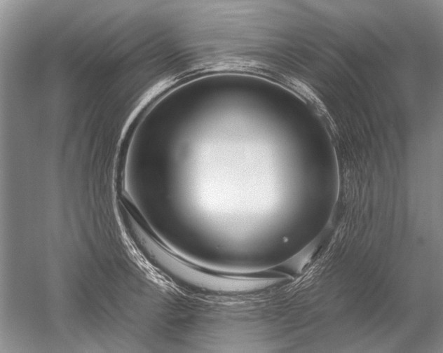 X0000052561138200507152219