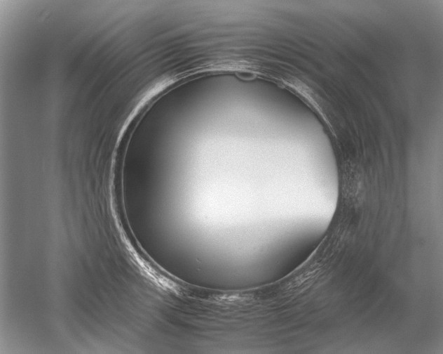 X0000052561139200507152219