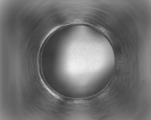 X0000052561142200507152219