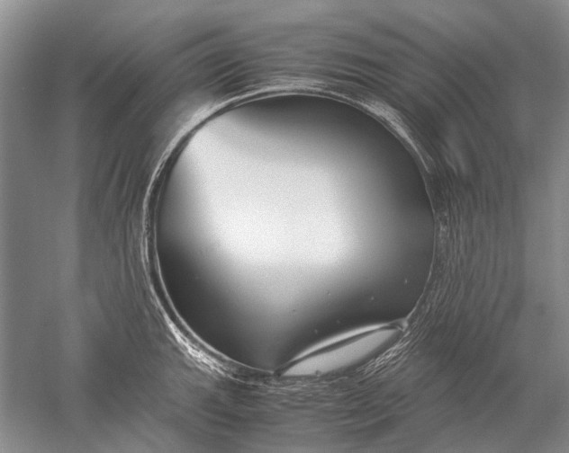 X0000052561143200507152219