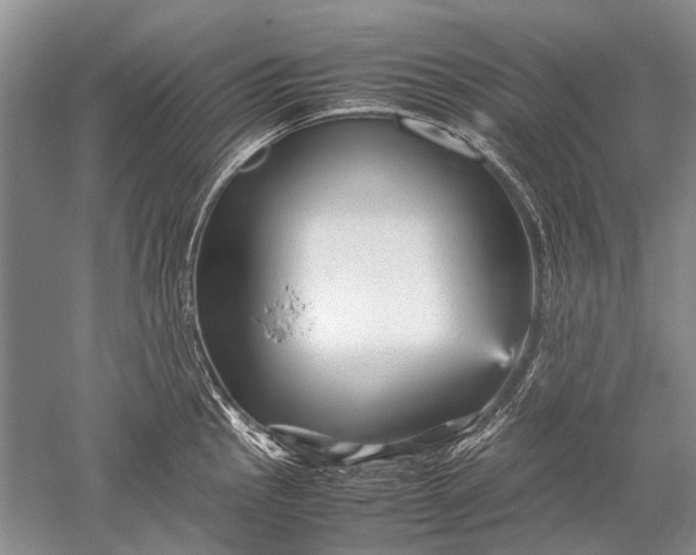 X0000052561145200507152219