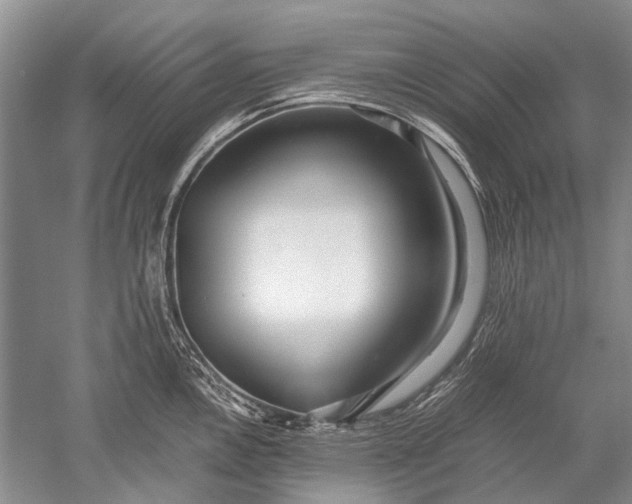 X0000052561146200507152219