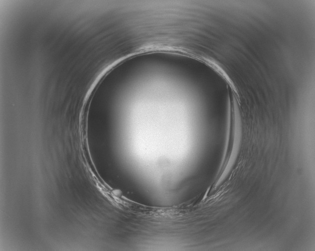 X0000052561148200507152219
