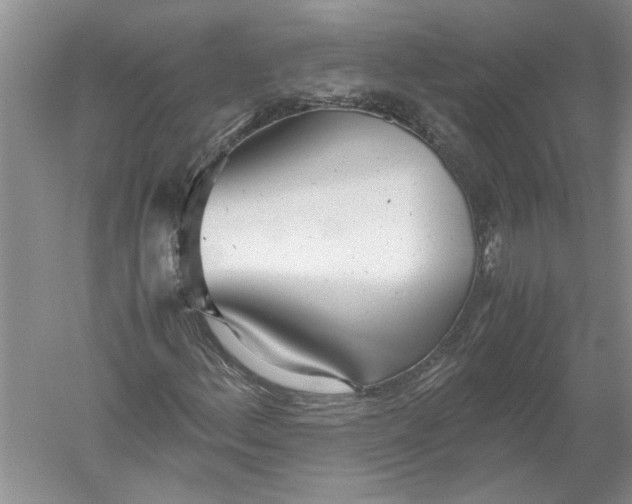 X0000052561156200507152218