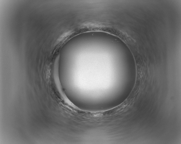 X0000052561157200507152218