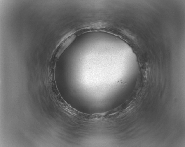 X0000052561160200507152218